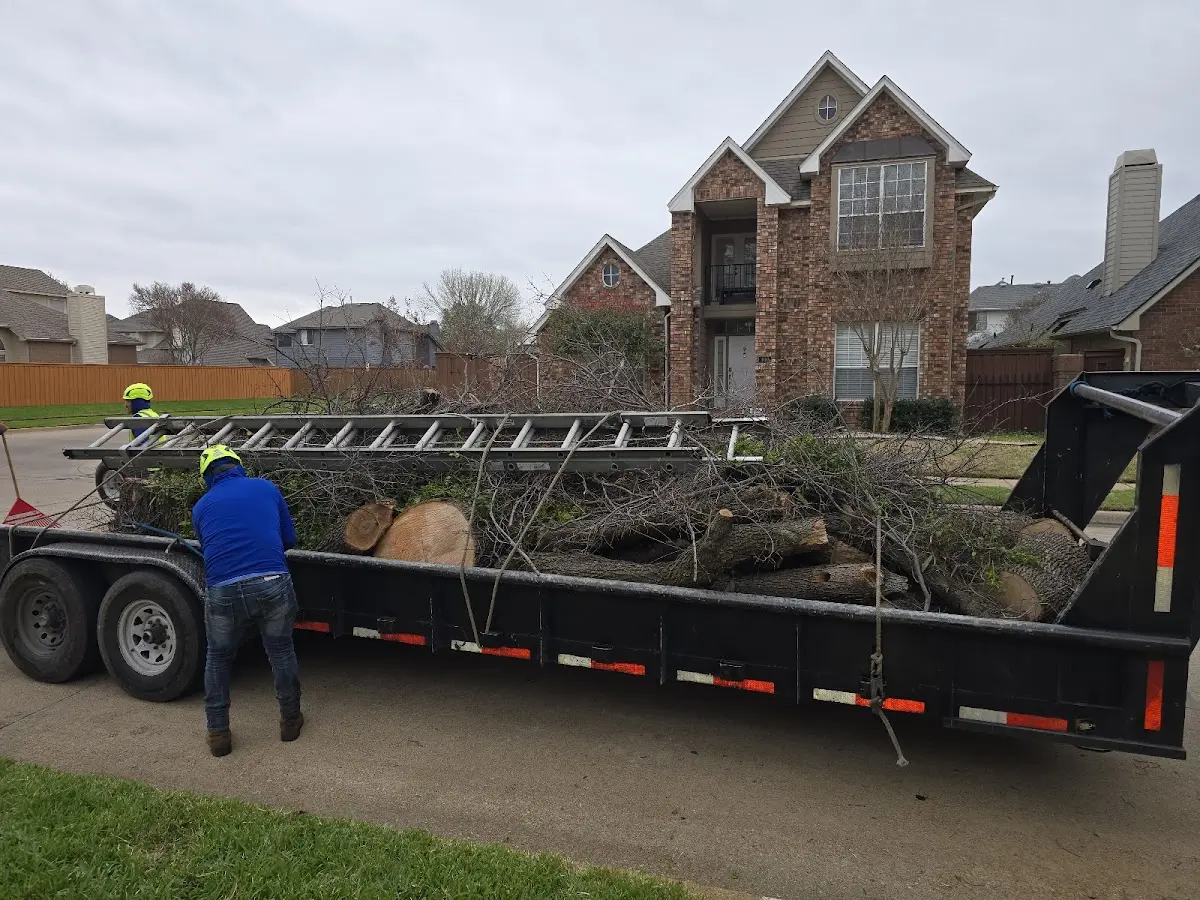 Expert Tree Fertilization with proper safety equipment in Copalis Beach